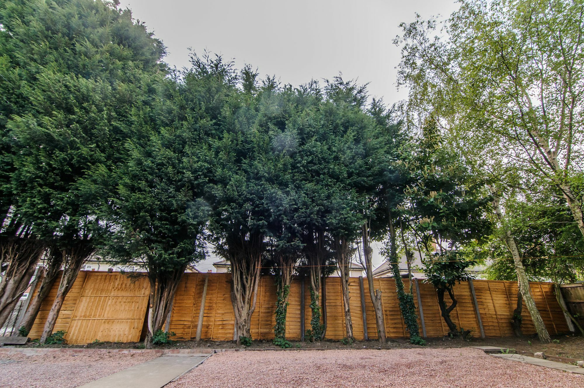 דירות דונקסטר Warren House מראה חיצוני תמונה